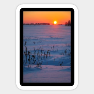 Sunset winter landscape with snow-covered road in violet and pink colors Sticker